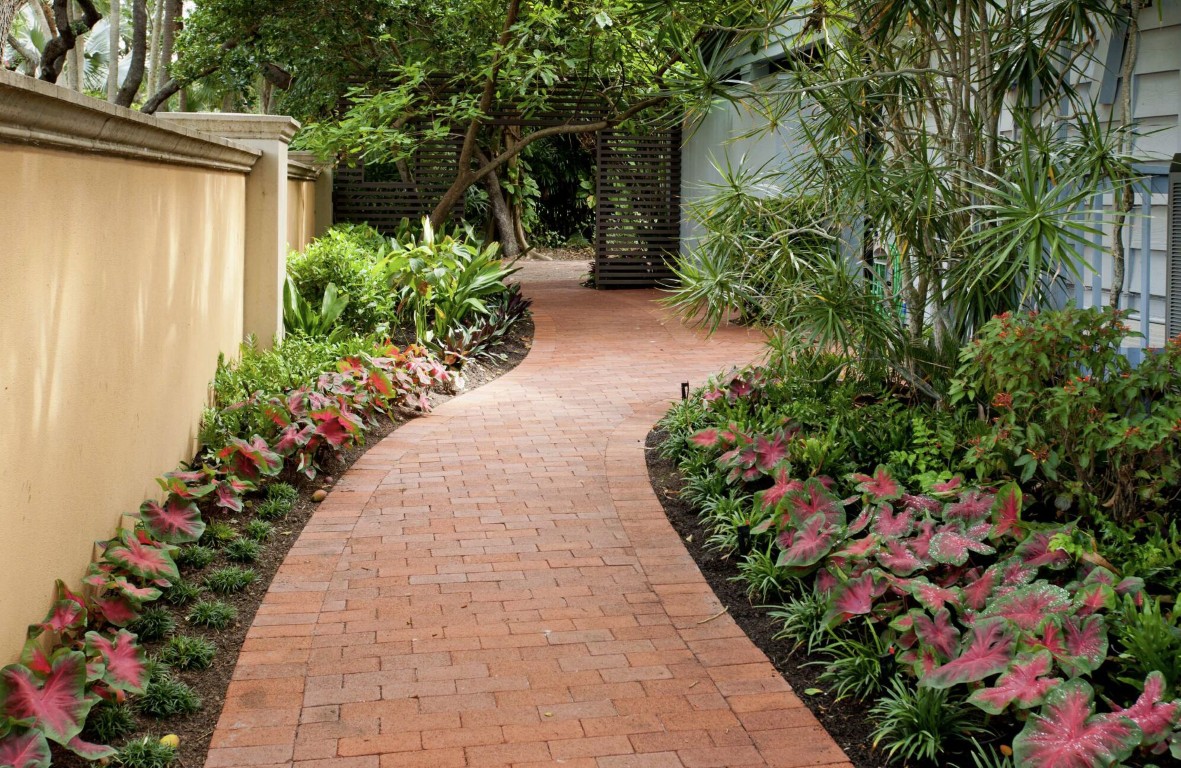 Commercial landscaping with brick paver walkway and tropical plantings in Santa Monica