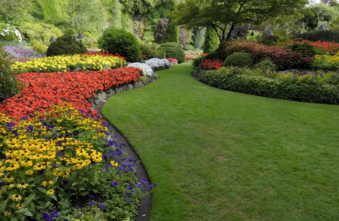 Professional lawn care and maintenance services in Santa Monica with manicured green lawn