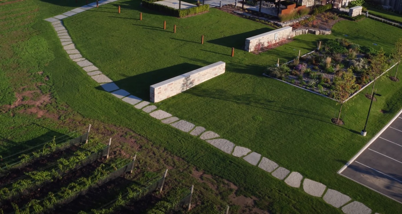Sod installation for instant lush green lawn in Santa Monica backyard