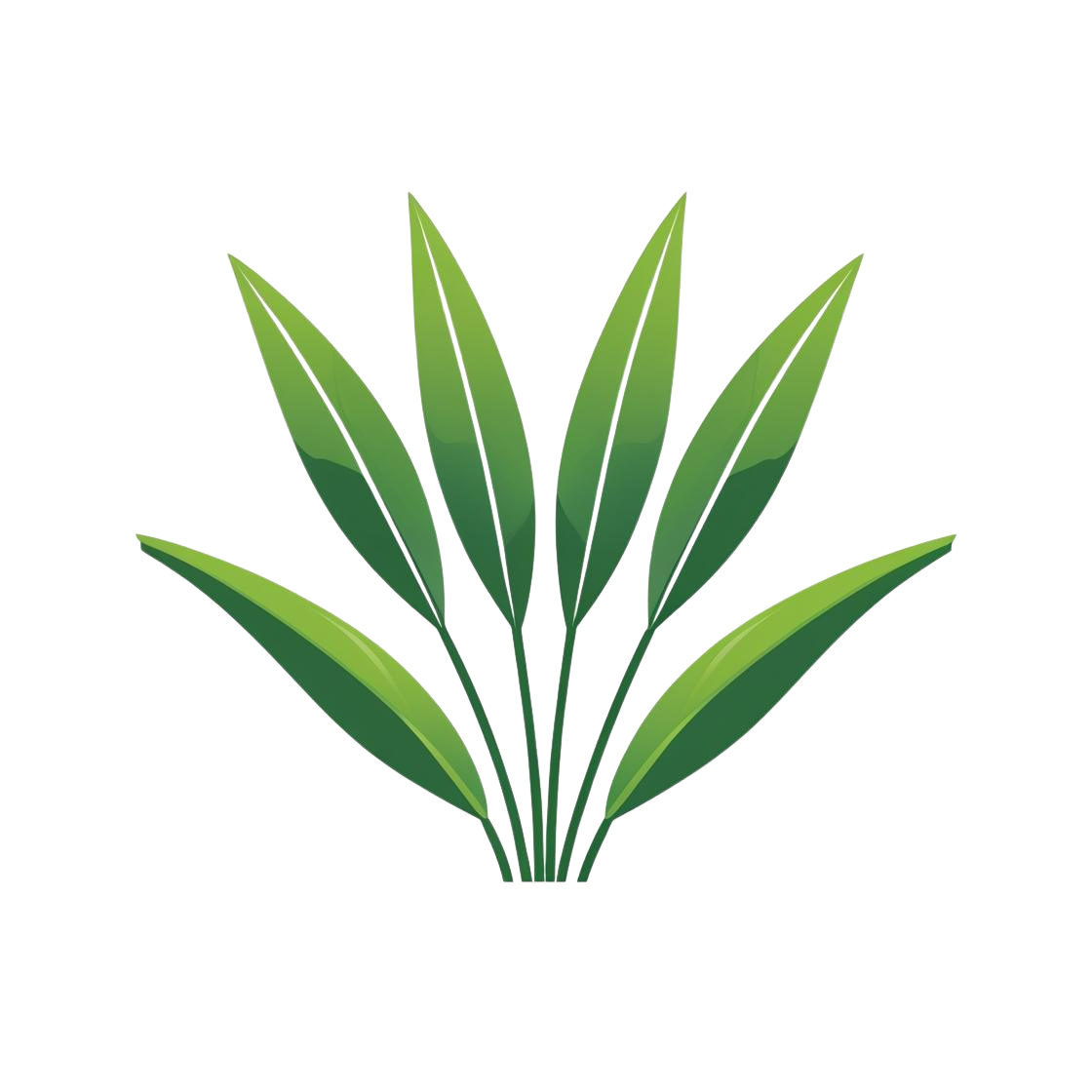 ModernCare Santa Monica Landscapers Professional Services ModernCare Santa Monica Landscapers Logo