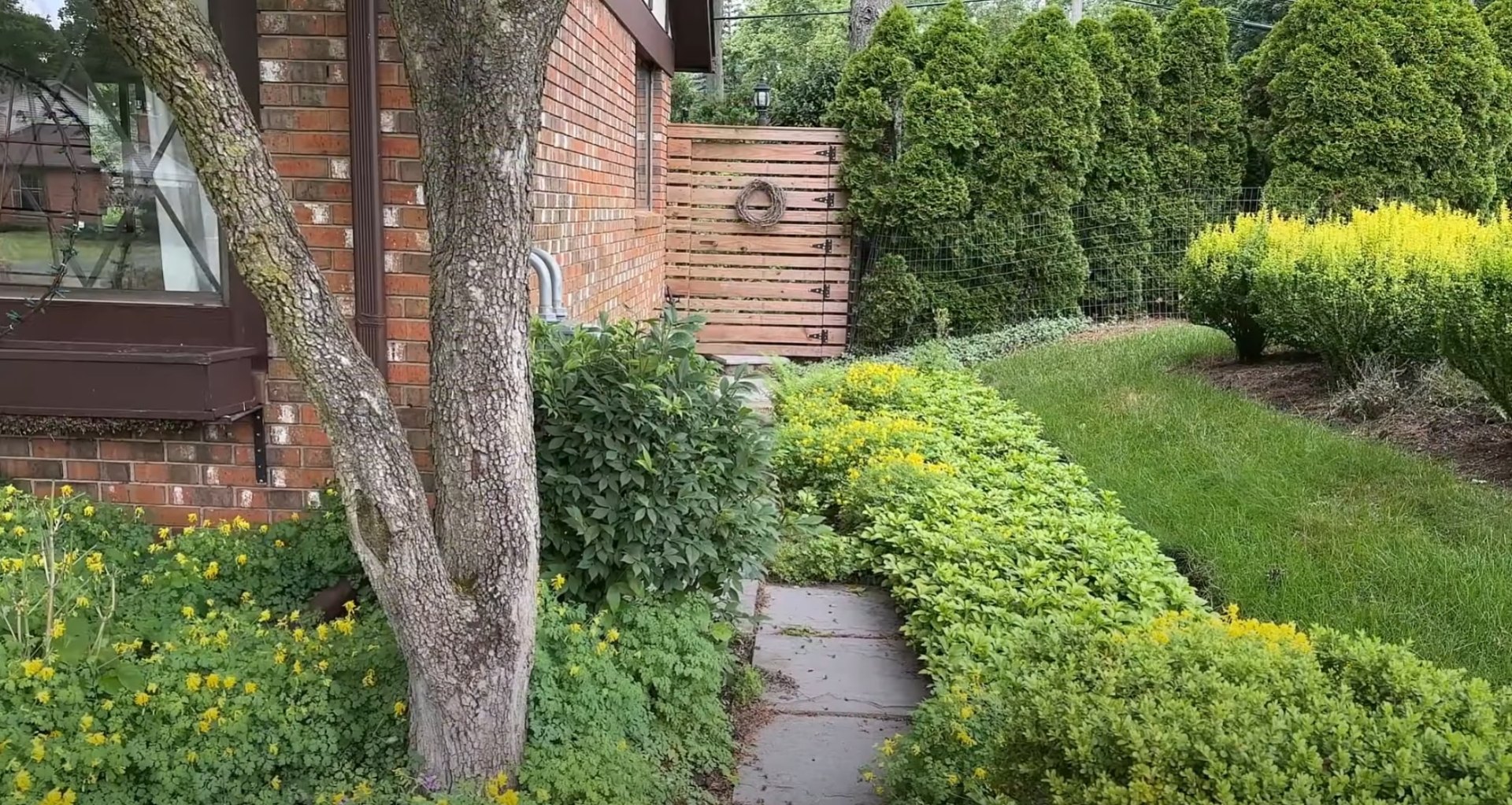 Professional Landscape Design with Natural Walkways Beautifully landscaped backyard with walkway, mature trees, and well-maintained garden beds